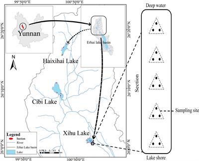 Seasonal variation and nutrient jointly drive the community structure of macrophytes in lakes with different trophic states